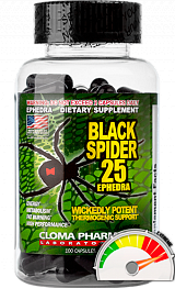 Black Spider 25